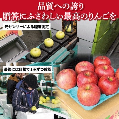 【25年11月出荷予定】平均糖度13度以上! サンふじ 約3kg 贈答用【配送不可地域：離島・沖縄県】