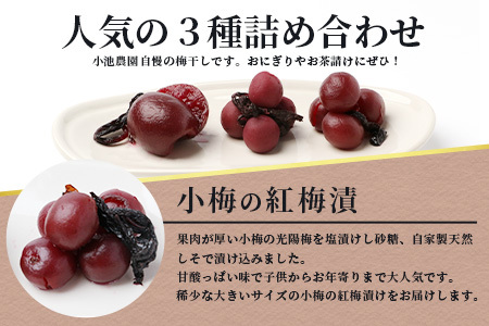 《小池農園》小梅の紅梅漬・小梅の天然しそ漬・紅梅漬３種類セット（各300g） 梅干し 漬物 つけもの 梅 しそ うめぼし 漬物セット 梅干しセット B-467