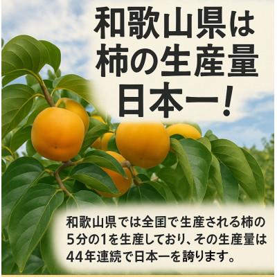 ふるさと納税 橋本市 柳フルーツ園 たねなし柿 約2kg |  | 01