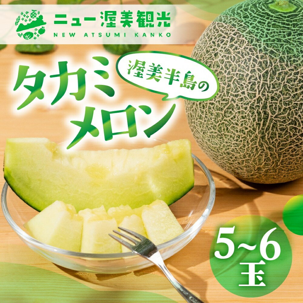 【ふるさと納税】【先行予約】タカミメロン 5 ～ 6玉 入り（ 計 4kg 以上 ）メロン タカミメロン フルーツ 果物 愛知県 田原市 渥美半島 お取り寄せ スイーツ ギフト 贈り物 プレゼント 贈答 贈答用 ニュー渥美 観光