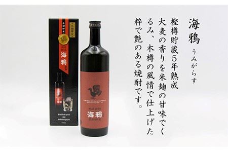 【全12回 定期便 】麦焼酎 海鴉 25度 720ml 2本入りセット 《 壱岐市 》【天下御免】[JDB112] 192000 192000円