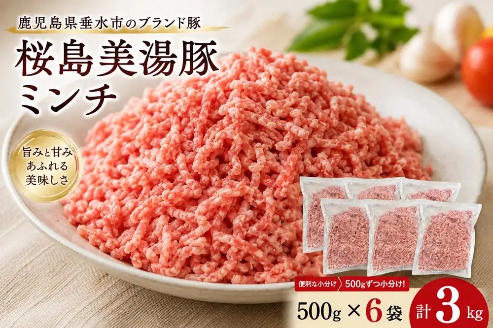 B2-0408／桜島美湯豚　ミンチ 500g×6P　計3kg