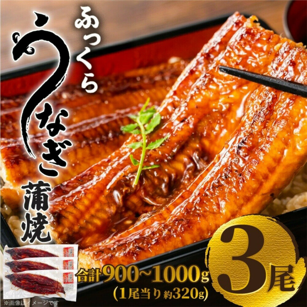 【ふるさと納税】ふっくら大判うなぎ蒲焼　計約960g（約320g×3尾）