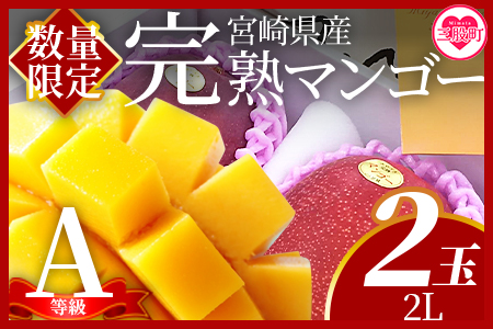 ＜【期間数量限定】2025年5月より順次発送 宮崎県産完熟マンゴー2L 2玉化粧箱入＞(2玉入り)【MI515-yk】【みまたんよかもん協同組合】マンゴー フルーツ デザート 甘い 果物 くだもの 季節限定 贅沢