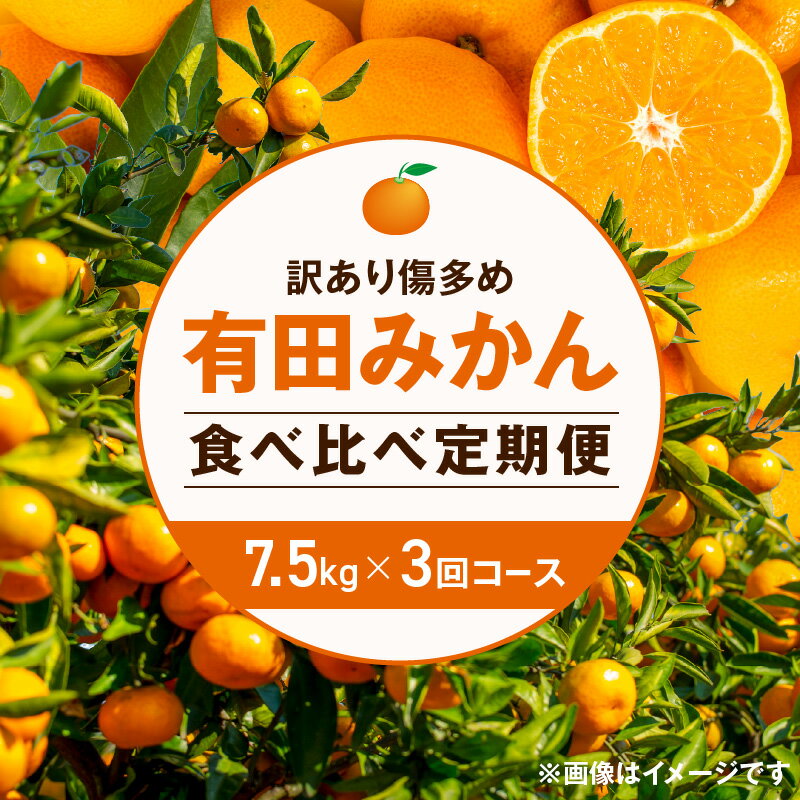 【ふるさと納税】【定期便】【訳あり傷多め7.5kg×3回コース】 有田みかん・食べくらべ3種【頒布会】※2025年10月中旬～2026年1月下旬頃に順次発送予定 ※着日指定不可【ミカン 蜜柑 柑橘 温州みかん 和歌山 有田】