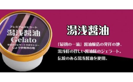 プレミアムジェラート 湯浅醤油12個セット アイスクリームセット 100mlカップ ゆあさジェラートラボラトリー【sutb700-05】