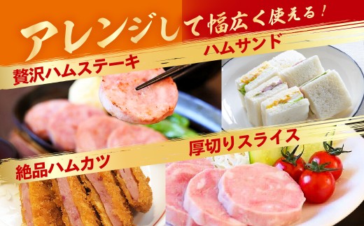 年末配送【12月21日～12月31日お届け】郡上ハム競演セット ≪明宝ハム＆明方ハム≫ ハム詰め合わせ プレスハム ポークハム 国産豚肉 ハム 人気 おつまみ 肉 おかず ハム 食品 ハム 精肉 肉加