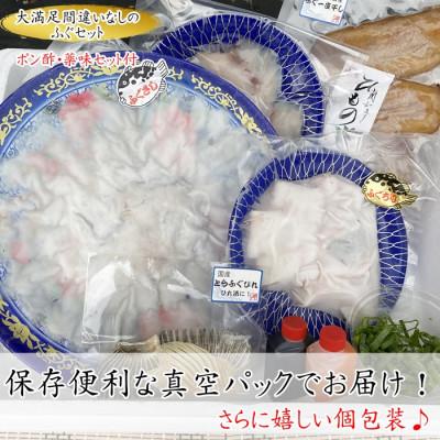 ふるさと納税 南知多町 純国産【大満足】 とらふぐ セット (福) 岬だより |  | 03