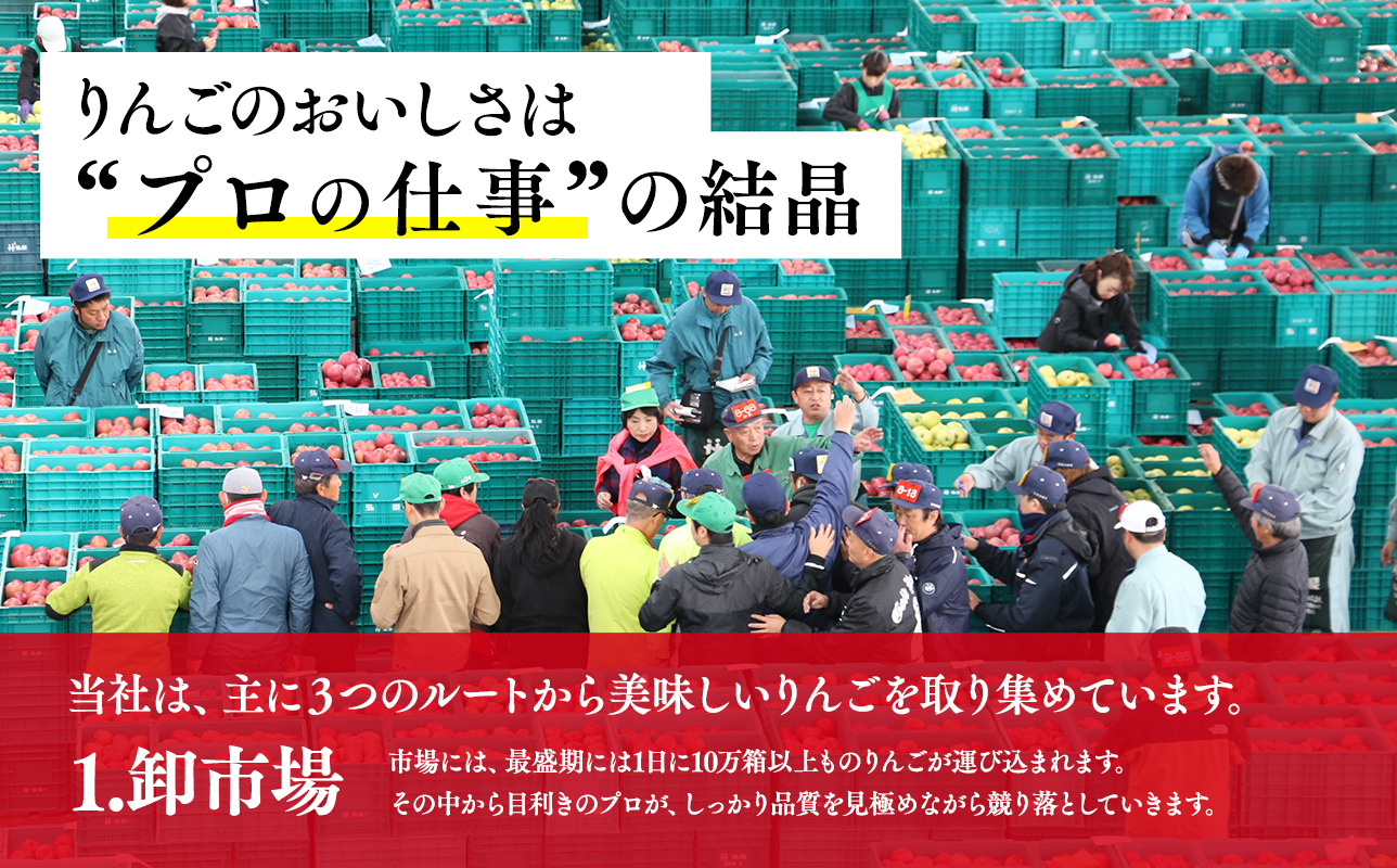 ３月発送　特選　甚八りんごサンふじ5kg　【青森県 平川市 マルジンサンアップル】３月発送 青森 青森県産 平川 りんご リンゴ 林檎 くだもの 果物 フルーツ