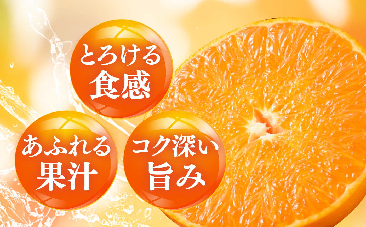 柑橘 蜜柑 みかん ミカン 愛果48号 訳あり 訳アリ 3kg 小玉 愛媛