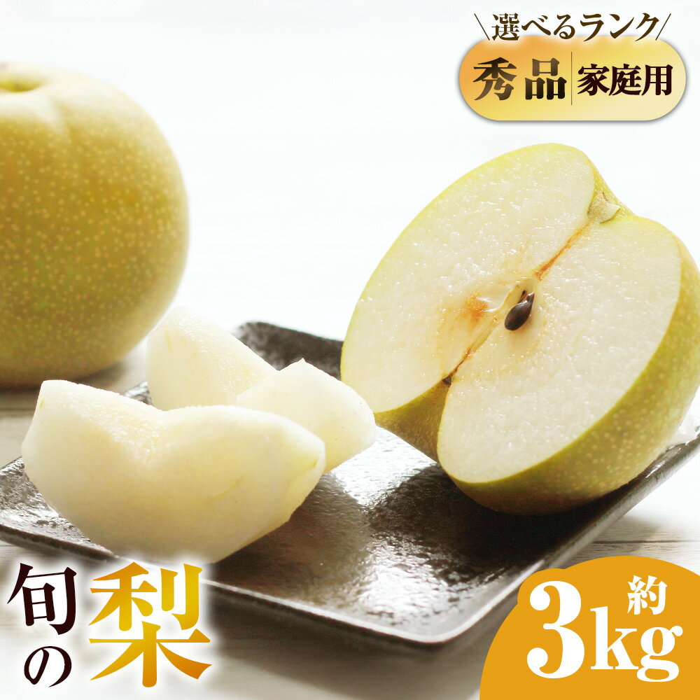 【ふるさと納税】【選べる秀品・ご家庭用】九重町産梨 詰め合わせ 約3kg（約6～8個）梨 ナシ フルーツ 果物 くだもの 幸水 豊水 あきづき なつのしずく ギフト 贈答 冷蔵 大分県 九重町 送料無料