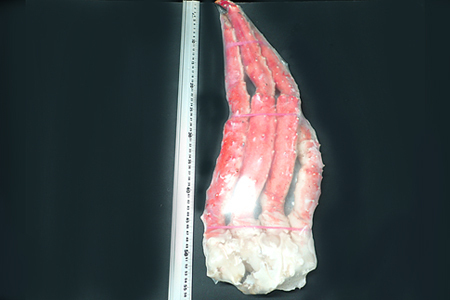 ボイルたらばがに脚約1.5kg×1肩(エアブラスト凍結) ＜12月8日決済分まで年内配送＞F-11028