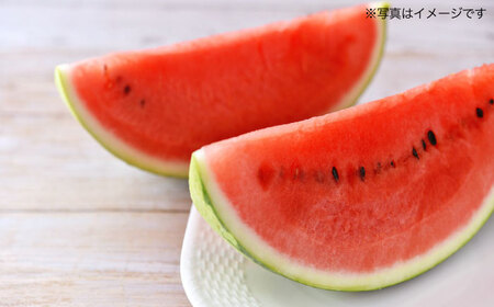 【先行予約】大玉 スイカ　1玉（約7〜9kg）　【中島農園】[AYCX001]