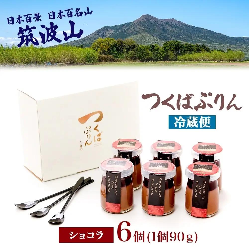 つくばぷりん ショコラ・ヴィノ・プディング ６個 プリン ぷりん ショコラ チョコレート 牛乳 ミルク 卵 赤ワイン スイーツ 贅沢 洋菓子 おやつ 冷菓 ご褒美 デザート 人気 グルメ お取り寄せ 