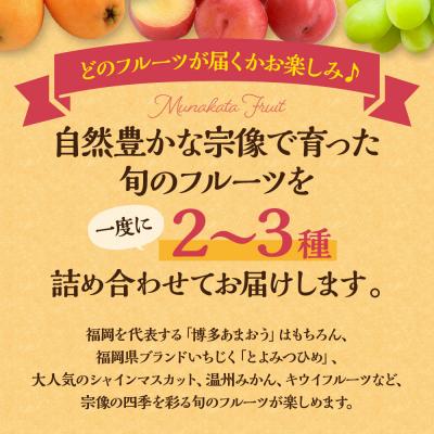 ふるさと納税 宗像市 何が届くかお楽しみ!むなかた旬のフルーツ福袋定期便【年4回】【JAほたるの里】_HB0165 |  | 01