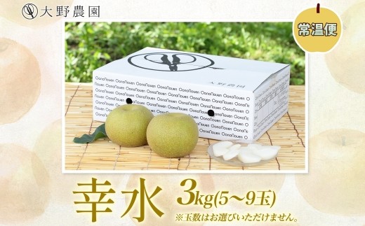 梨3kg 幸水 5～9玉