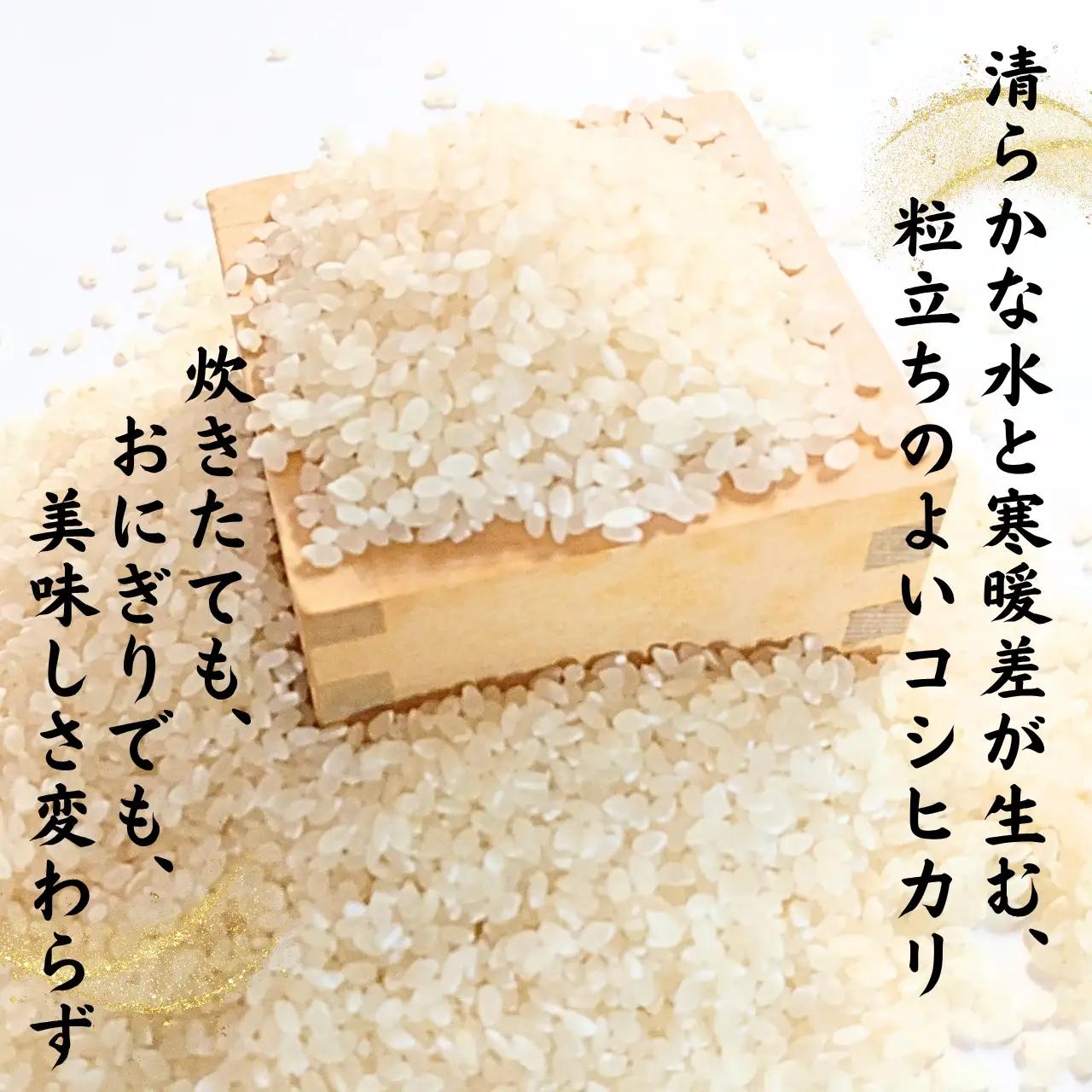 精米 のむき風の郷米 コシヒカリ（精米) 5㎏×2袋 定期便 先行予約