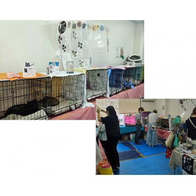 ふるさと納税 茨木市 【チームしっぽ】手作りキャリーケース用クッション |  | 03