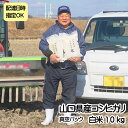 【ふるさと納税】a10-2 コシヒカリ 白米 10kg（5kg×2袋）　令和5年産米　真空パック　配達日指定可能　配達日指定可　真空パック