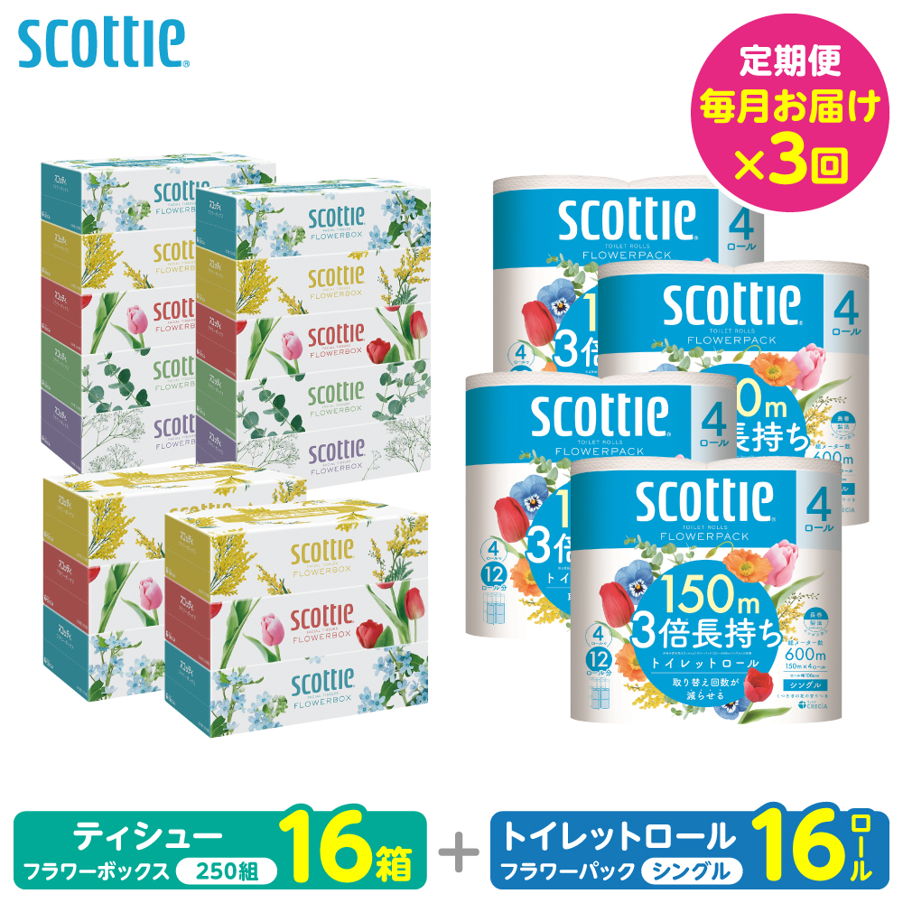 【定期便3回】【毎月お届け】【スコッティ】 組み合わせ ティシュー フラワーボックス 250組 16箱 計48箱 トイレットロール シングル フラワーパック 3倍長持ち 16ロール 計48ロール 備蓄