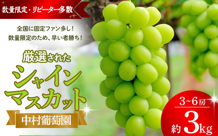 【来年（2026年/令和8年）発送＜先行予約＞】シャインマスカット 3kg 3房～6房 先行予約 産地直送 フルーツ 果物 ぶどう 葡萄 人気シャインマスカット 美味しいシャインマスカット 山梨シャインマスカット 甲斐市シャインマスカット 完熟シャインマスカット　おすすめシャインマスカット N-10