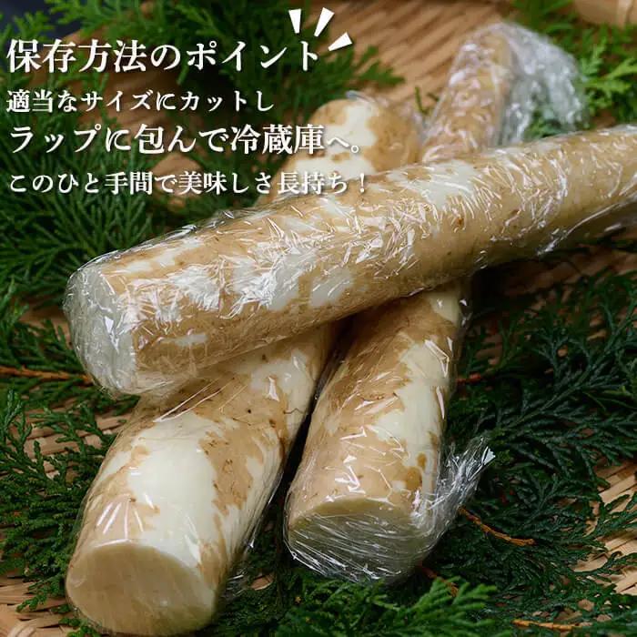＜先行予約受付中！2026年11月中旬から順次発送予定＞＜期間限定＞山菜の王者自然薯 (約1.2kg)  山芋 国産 【Y-1】【自然薯組合】