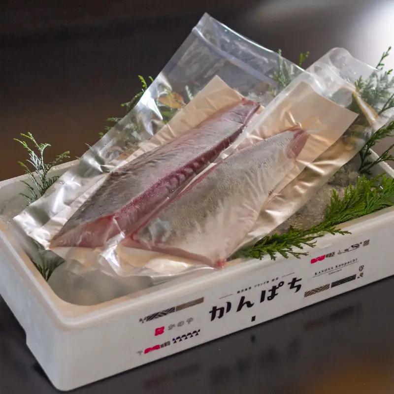 174-1 かのや カンパチロイン （ カマ入 ） KN001-001 魚 カンパチ