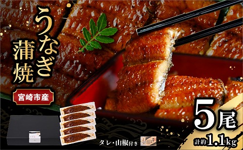 宮崎県宮崎市産　うなぎの蒲焼　約1.1kg（約220g×5尾）タレ・山椒セット 国産 うなぎ 蒲焼き 5尾 鰻 ウナギ 蒲焼 うなぎ蒲焼 うなぎ蒲焼き タレ 山椒 冷凍 パック 電子レンジ レンジ ひつまぶし 鰻巻き 惣菜 お惣菜 おかず 化粧箱 化粧箱入り 父の日 母の日 丑の日 土用の丑の日 ギフト グルメ お取り寄せ
