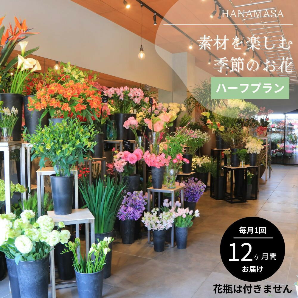 【ふるさと納税】素材を楽しむ季節のお花＊ハーフ＊(全12回) | 小田原市 季節の花 お花のアレンジメント フラワーギフト 旬のお花 おしゃれな花束 花政 お取り寄せ 通販 ふるさと納税