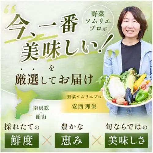【毎月定期便】【上旬発送】こだわりの旬野菜BOX「リエビン」季節の野菜セット全6回【配送不可地域：離島・北海道】【4012342】