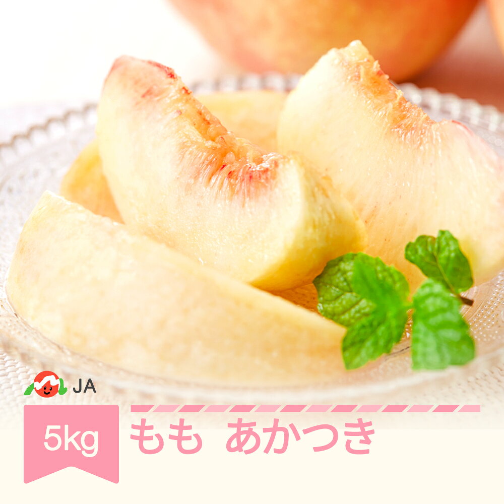 【ふるさと納税】【先行予約】もも 桃 あかつき 約5kg 令和9年産 2027年産 果物 送料無料