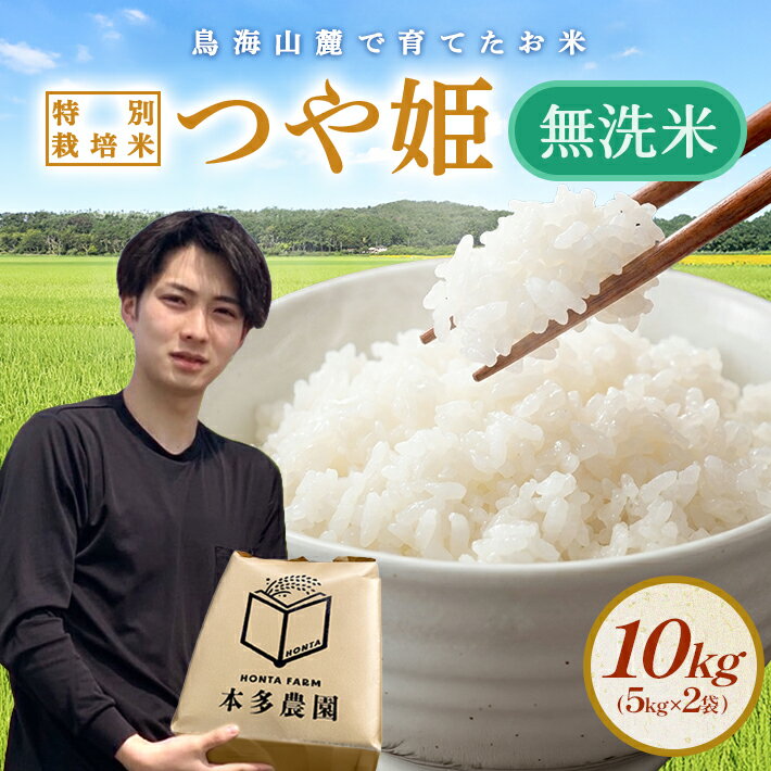 【ふるさと納税】≪新米予約≫ 無洗米 つや姫 計10kg 5kg×2袋 令和8年産米 特別栽培米 山形県酒田産 ご希望の時期頃お届け 東北 山形県 酒田市 庄内地方 庄内平野 米 お米 白米 ブランド米 ご飯 ごはん 農家直送 産地直送 本多農園