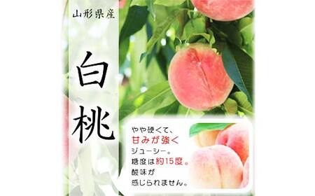 《2027年先行予約》山形県産白桃※品種玉数おまかせ 秀品 約1.5kg F4A-0459