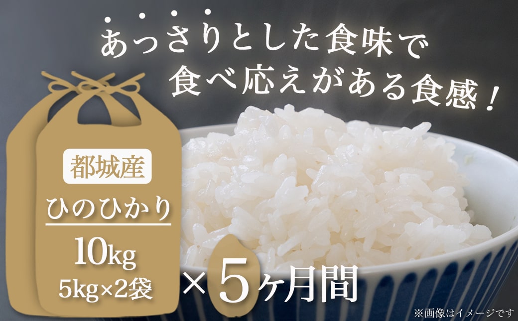 都城産ひのひかり10kg定期便(5ヶ月)_T110-5-0401