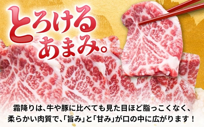 純国産 熊本馬刺し 霜降り馬刺し「特選」 計約300g