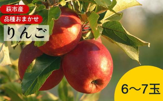 リンゴ 詰め合わせ 萩りんご 萩産 季節の品種  約6～7玉　｜HG000201