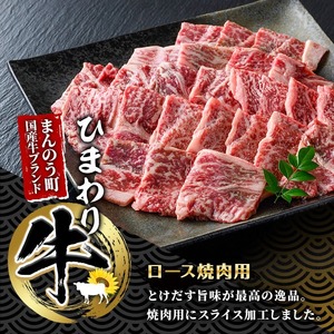 香川県産 ひまわり牛焼肉セット(計600g ) 国産 ロース 焼肉用 ヤーコン 焼肉のたれ 焼き肉 やきにく 牛 牛肉 お肉 赤身 霜降り ヒマワリ セット 【man021】【カワイ】