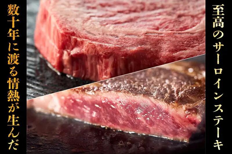神奈川県産和牛 阿夫利牛のステーキ 600g【 肉 ステーキ】