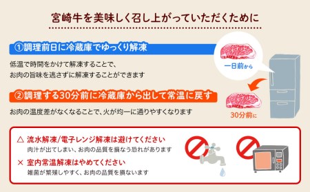 宮崎牛 希少部位 3種 焼肉 セット 合計600g  牛肉 ザブトン イチボ ヒウチ 肩ロース モモ 国産 牛肉 冷凍 牛肉 内閣総理大臣賞受賞 宮崎県産 黒毛和牛 ブランド牛 A5 A4等級 牛肉 