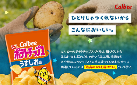 【 期間限定 特別価格 】 カルビー ポテトチップス 【 うすしお 】 12袋 K194-002_03  ポテチ チップス 菓子 お菓子 スナック スナック菓子 おやつ おかし じゃがいも 塩 塩味 