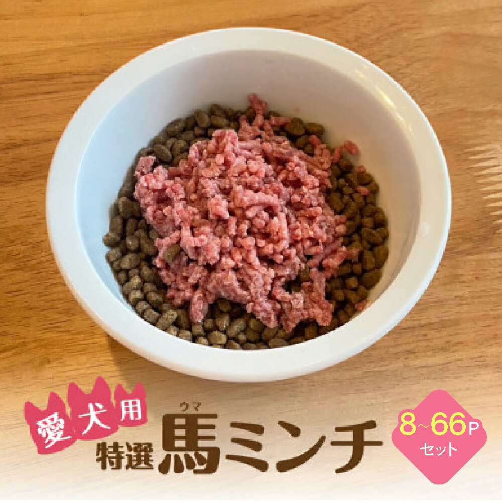 【ふるさと納税】特選馬ミンチ45g 8〜66パックセット ワンちゃん大喜び 馬肉ミンチ 犬用ミンチ 冷凍ミンチ 高タンパク 栄養満点 小分けパック 選べるセット容量 熊本県 宇城市 大阪馬肉屋TMP