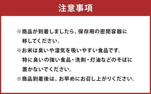 【12回定期便】森のくまさん 10kg (初回 ご飯の友 付き) 計120kg 熊本 米 ふりかけ 御飯の友【2025年10月上旬より1回目の発送予定】