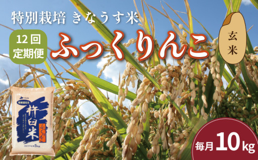 【玄米12ヶ月定期便】特別栽培「きなうす米」ふっくりんこ10kg×12回　U009