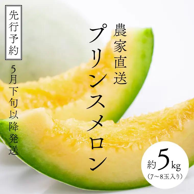 メロン プリンスメロン 1箱 約5kg  7～8玉 八千代町産 先行予約