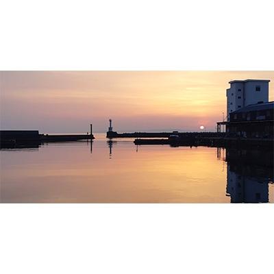 ふるさと納税 魚津市 【富山の干物専門店】　伝承の紅鮭 10切 |  | 03