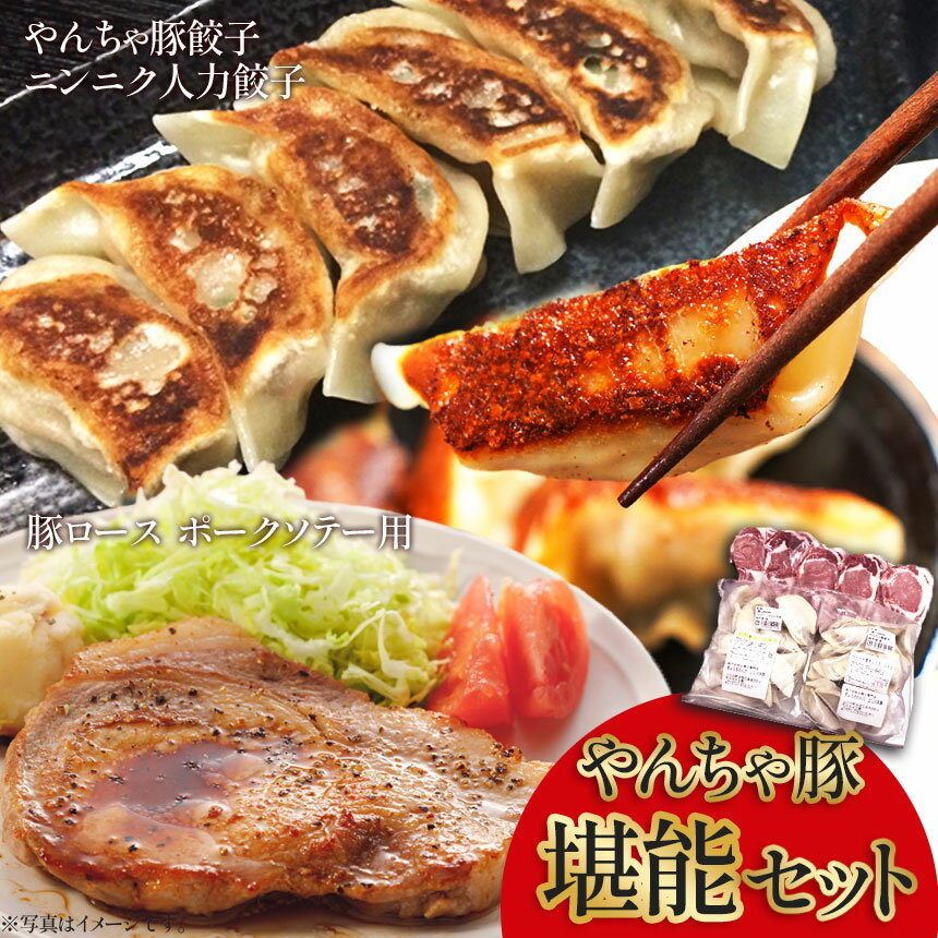 【ふるさと納税】 豚肉 餃子 やんちゃ豚堪能セット | 黒沢牧場 餃子 ロース 豚 肉 豚餃子 やんちゃ豚 人力餃子 特産品 栃木県 下野市 しもつけ市