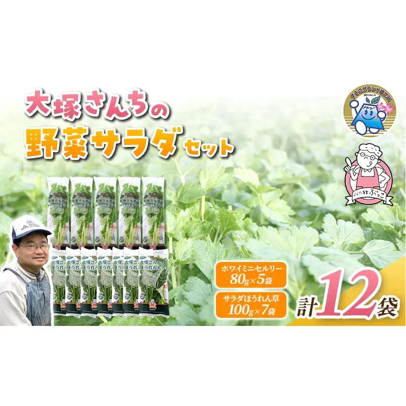 野菜セット ホワイトミニセルリー サラダほうれん草 野菜セット【計12袋 セルリー5袋 ほうれん草7袋】