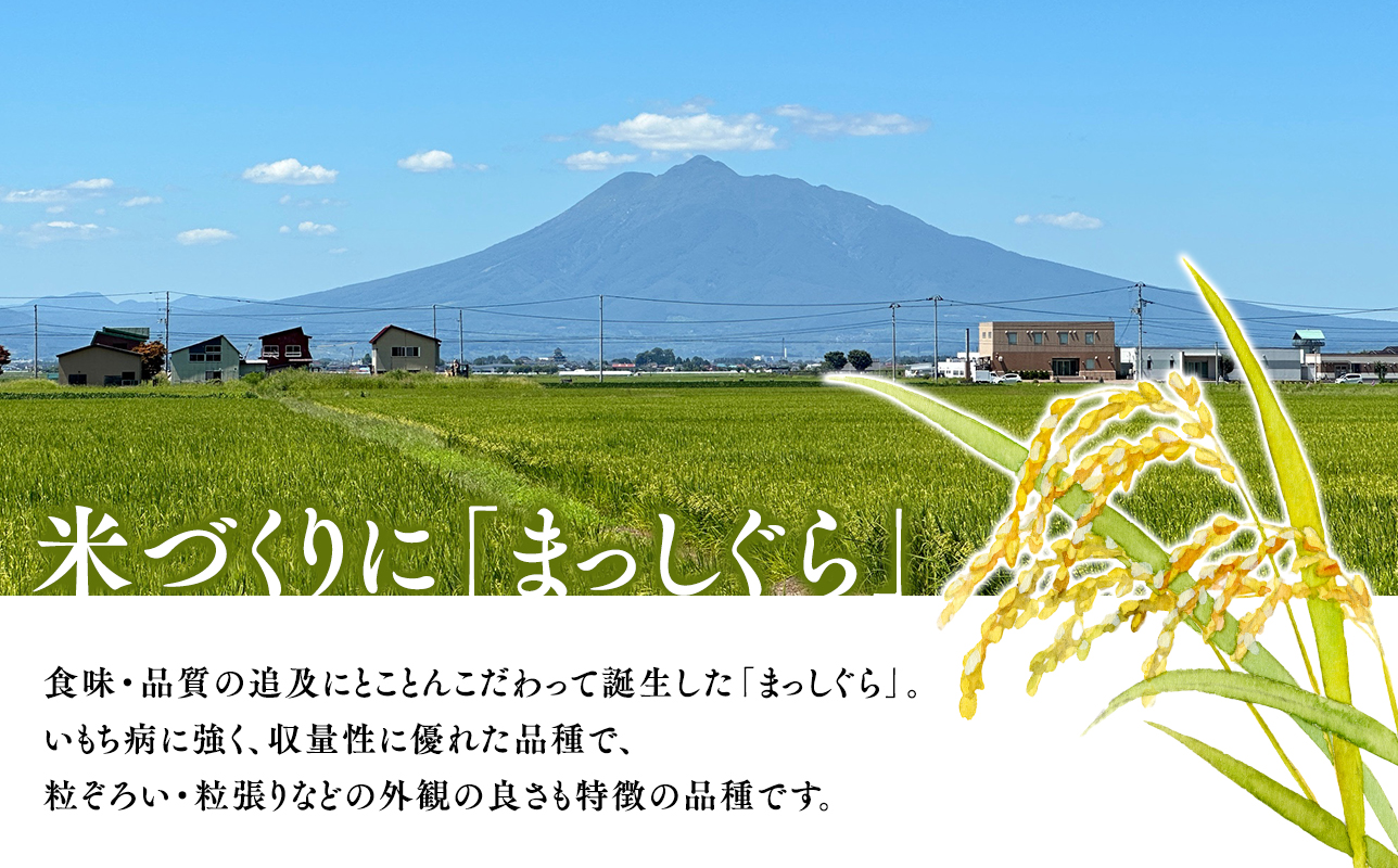≪令和8年産 先行予約≫2月中旬よりお届け! 青森県平川市産まっしぐら30kg(玄米)【青森県 平川市】