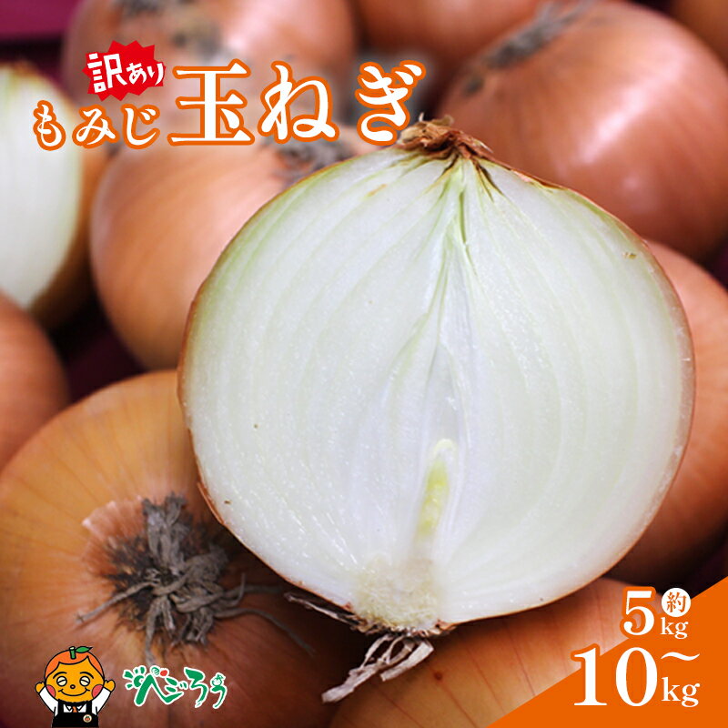 【ふるさと納税】 訳あり もみじ玉ねぎ5kgから10kg| たまねぎ タマネギ 玉ねぎ 野菜 常備野菜 愛媛 松山