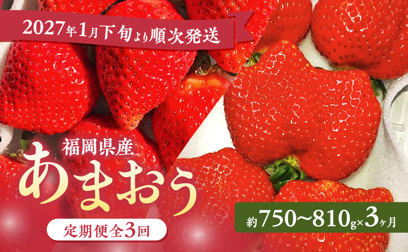 あまおう 定期便 3回 【2027年1月下旬より順次発送】【3ヶ月定期便】あまおう 3パック×3回 イチゴ 苺 いちご 果物 福岡県産 ※配送不可:離島